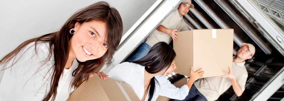 Professional Removalists Long Point